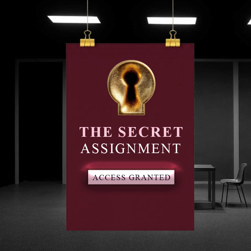 THE SECRET ASSINGMENT